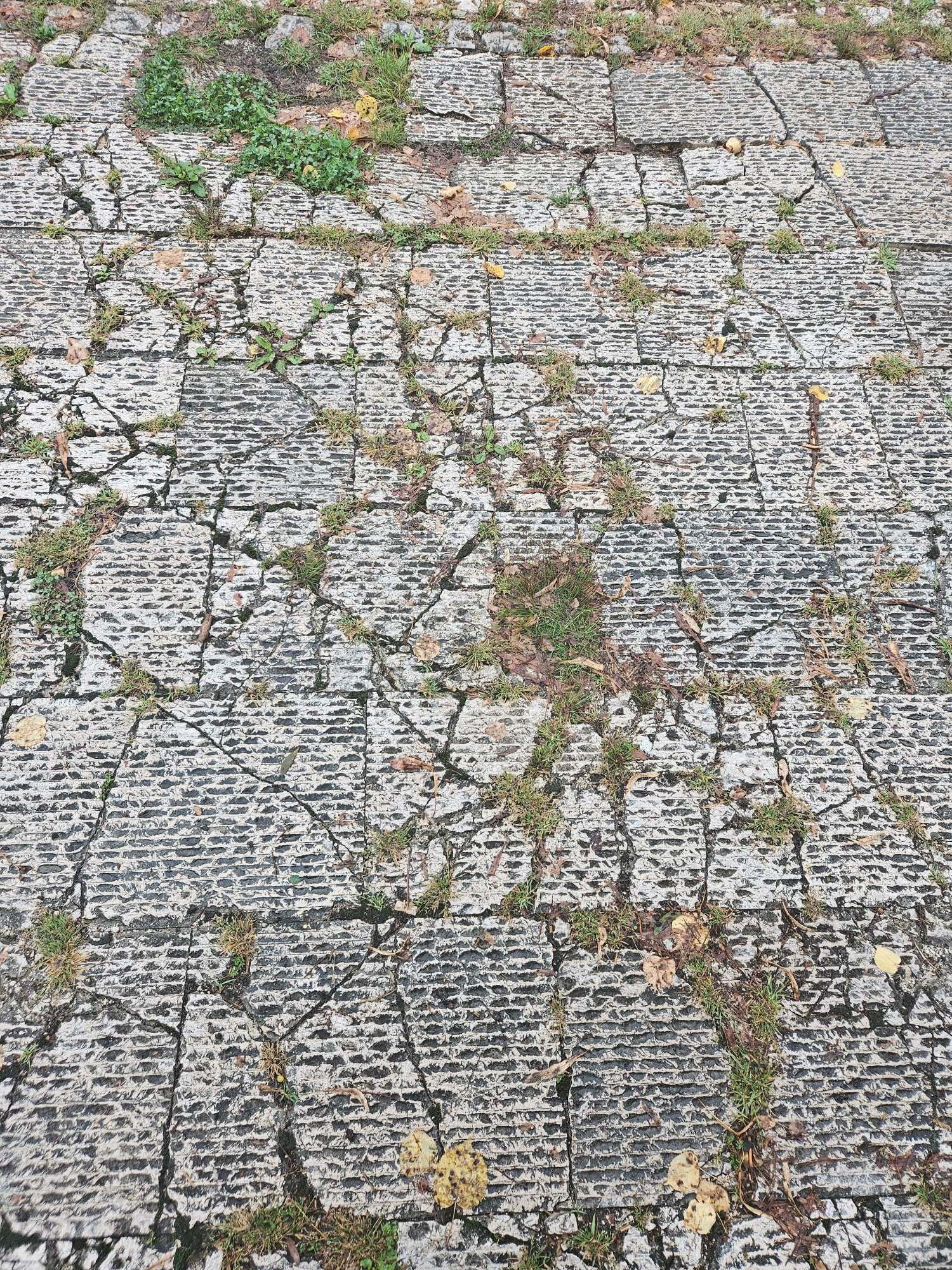 Damaged and overgrown steps at the Vraca Memorial Park