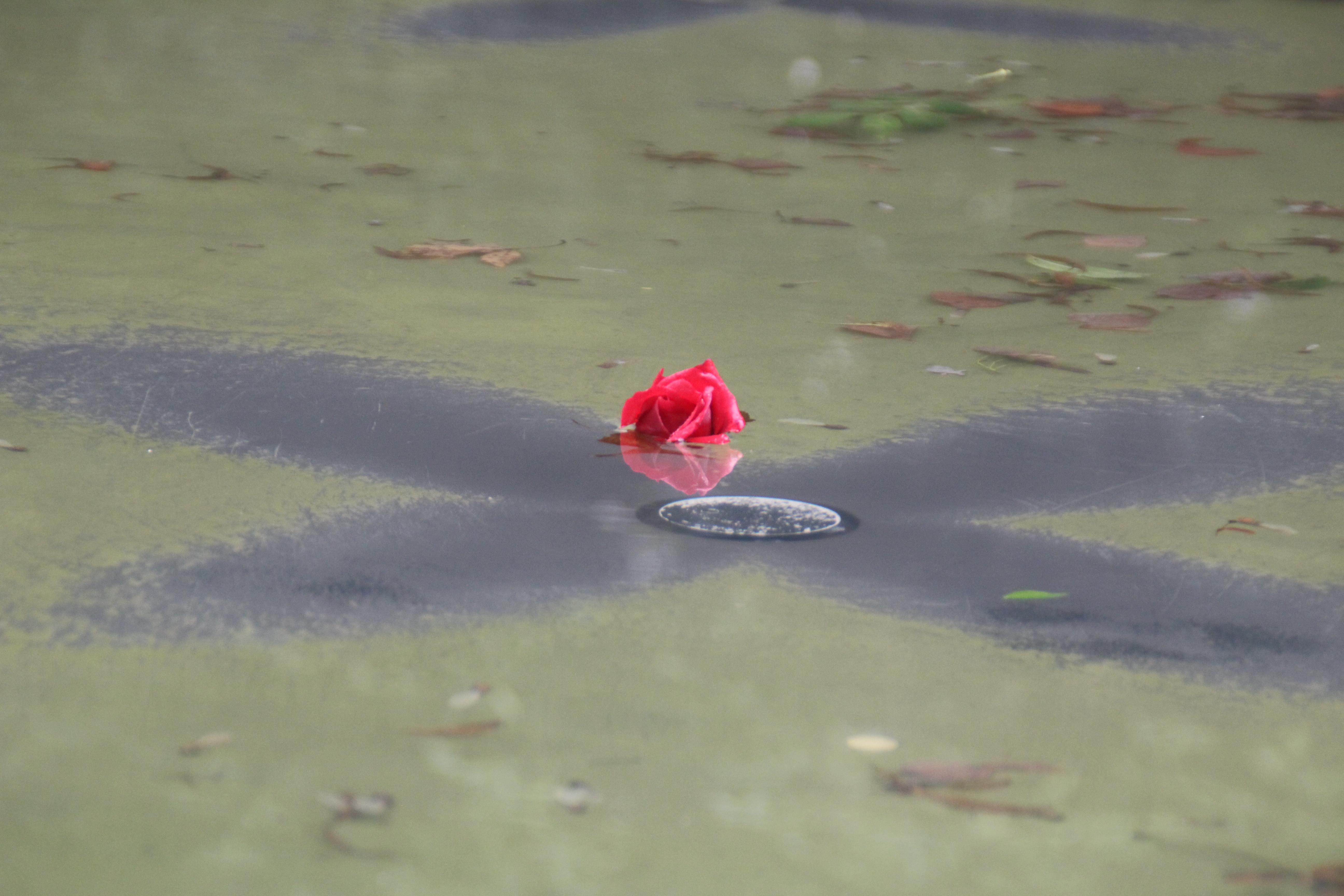 It consists of a fountain with a stone on which a fresh flower is placed every day.