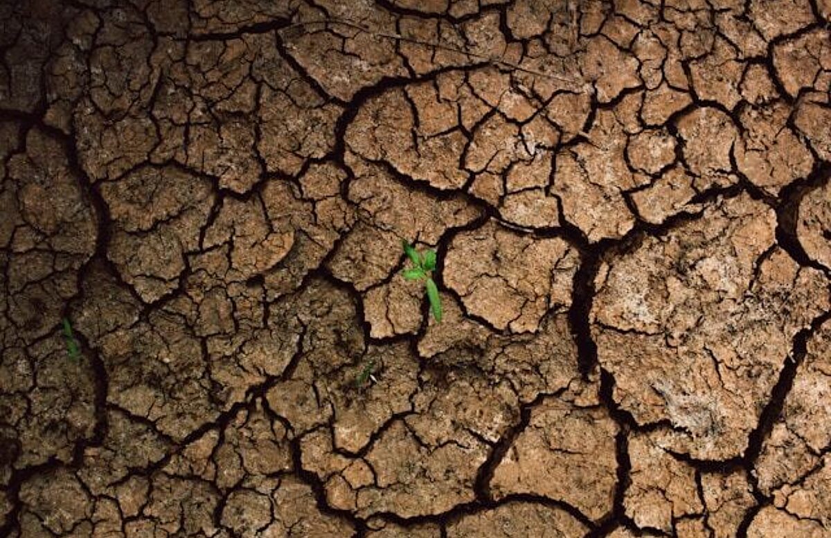 Community-driven climate action is essential for dealing with climate harms |